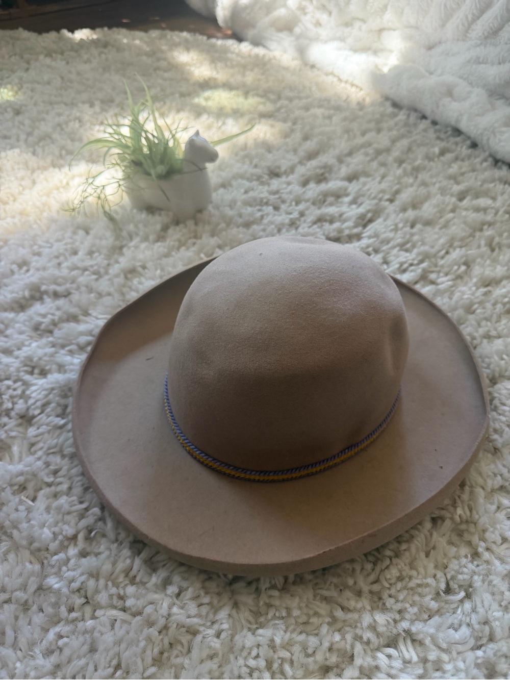 Neutral Buffalo days Regina Tan Felt Ranch Hat with Decorative Cord 7 3/4